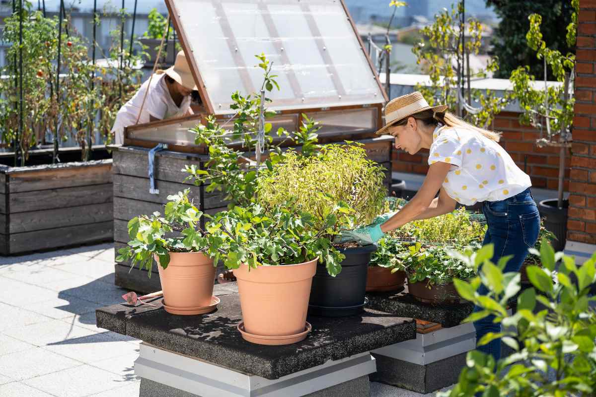 Beautiful view of Sustainable Small Space Gardening