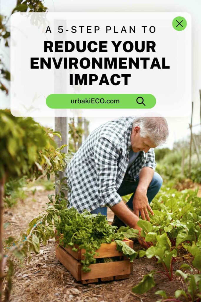 A 5-Step Plan to Reduce Your Environmental Impact