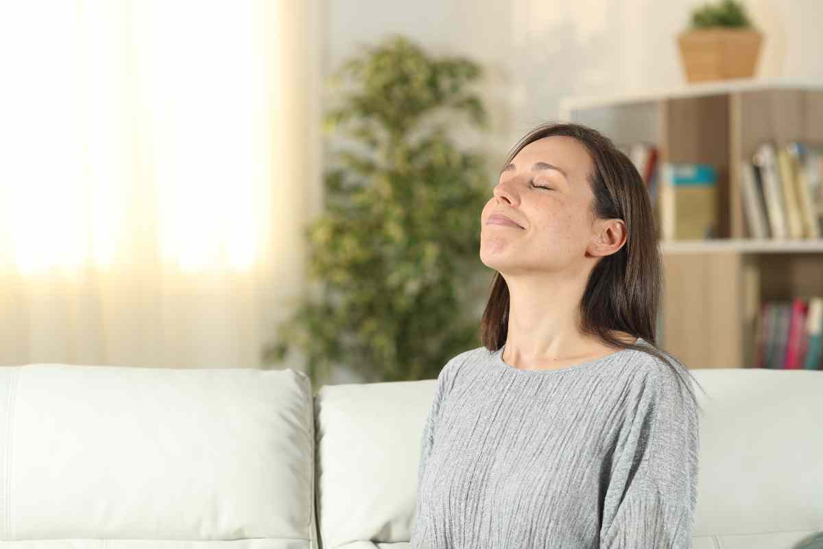 Picture of How to Create a Healthy, Eco-Friendly Indoor Air Quality