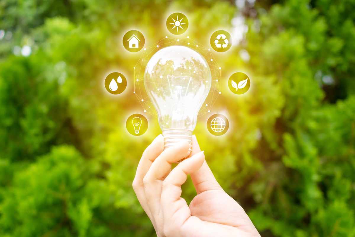 View of Energy Efficiency Tips for Urban Homes