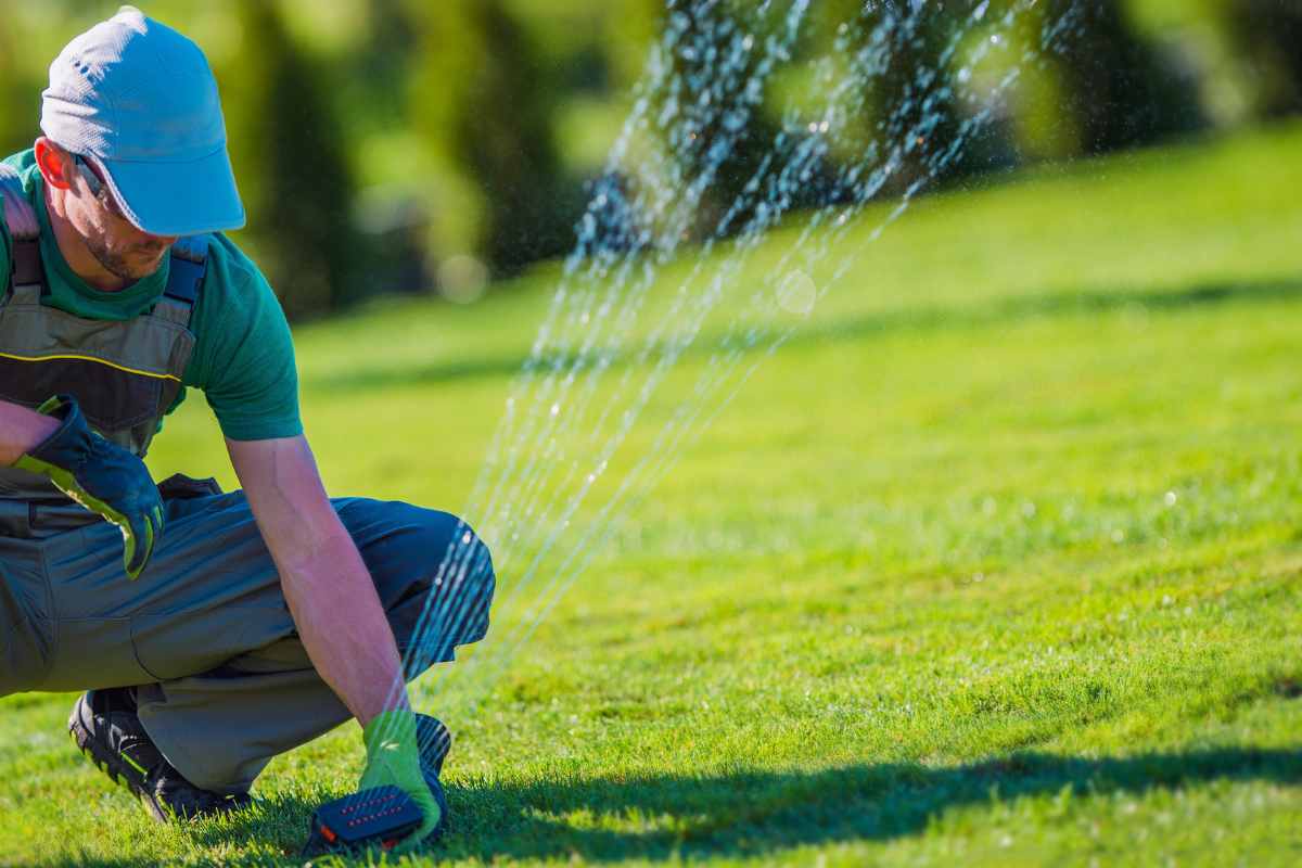 Trusted Lawn Care in Ellicott City MD - Healthy Lawn Services