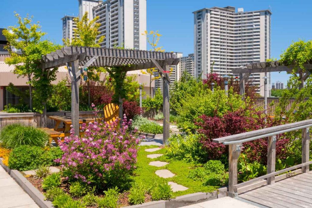 Trees On Rooftops Green Rooftop Gardens: How to Transform Urban Spaces into Eco Havens