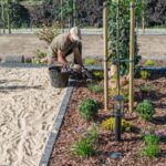 Natural Pest Control That’s Safe for Pollinators